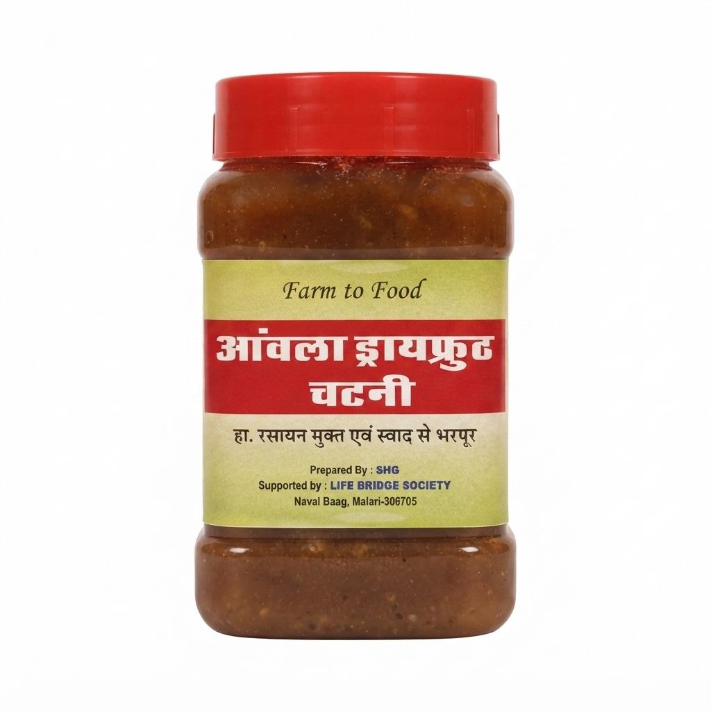 Natural Amla Dry Fruit Chutney | 250gm